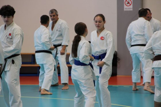Staż techniczny JKA - Y.Ohta - 7 DAN