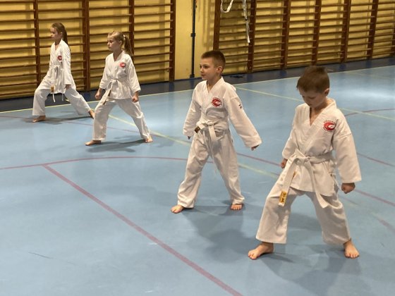 Egzaminy na stopnie kyu -grudzień 2021