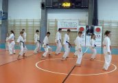 Staż techniczny z  Y. Ohta - listopad 2022