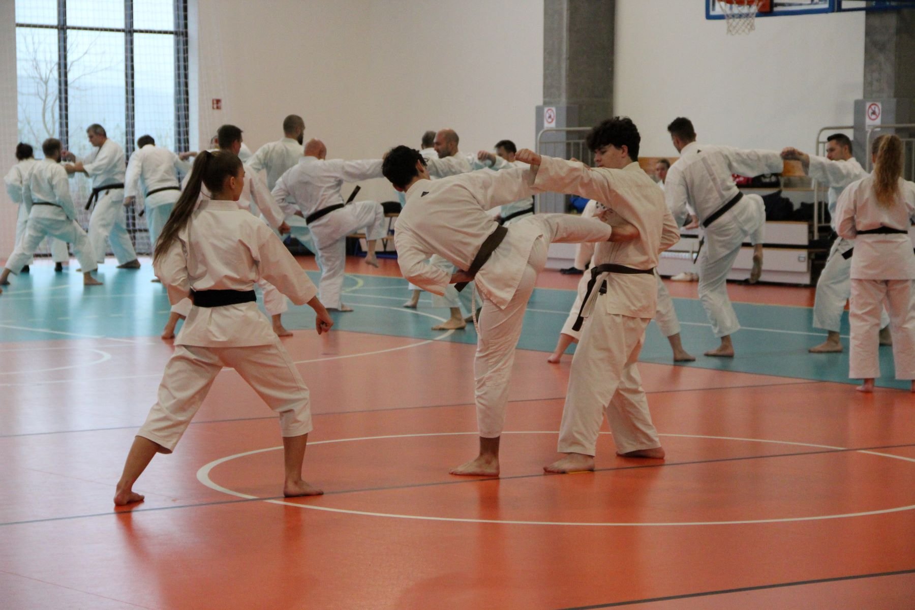 Staż techniczny JKA - Y.Ohta - 7 DAN