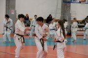 Staż techniczny JKA - Y.Ohta - 7 DAN