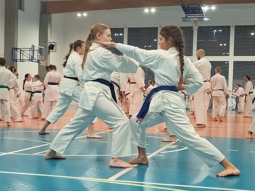 Staż techniczny - Y.Ohta