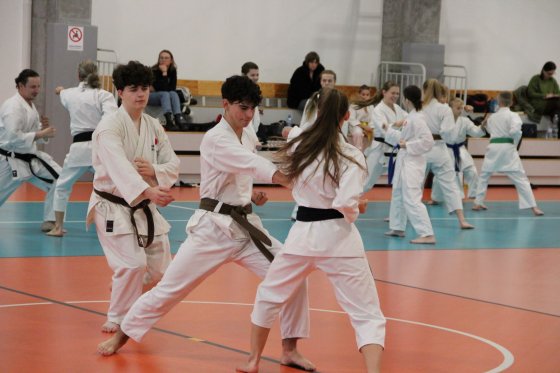 Staż techniczny JKA - Y.Ohta - 7 DAN