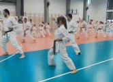 Staż techniczny z  Y. Ohta - listopad 2022