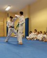 Egzaminy na stopnie uczniowskie kyu - grudzień