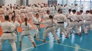 Staż techniczny JKA - T.Naka i K.Kurihara