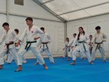 Letnie zgrupowanie karate 2025