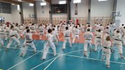 Staż techniczny z sensei Naka i Kurihara