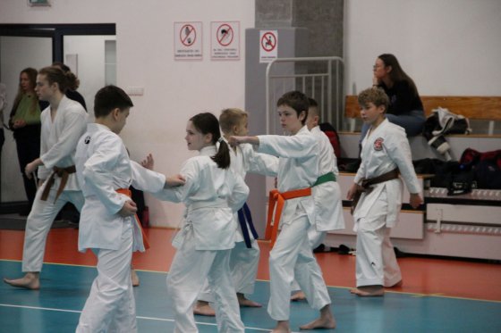 Staż techniczny JKA - Y.Ohta - 7 DAN
