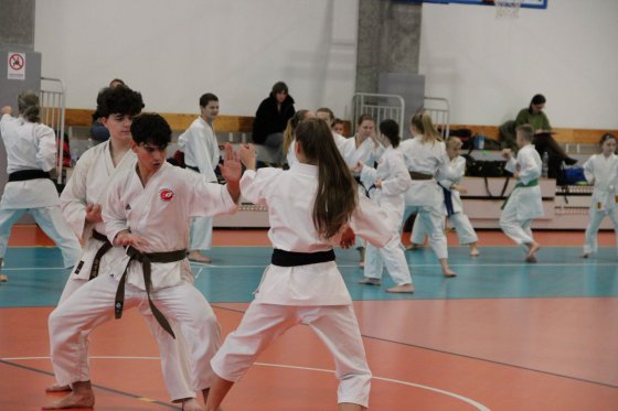 Staż techniczny JKA - Y.Ohta - 7 DAN