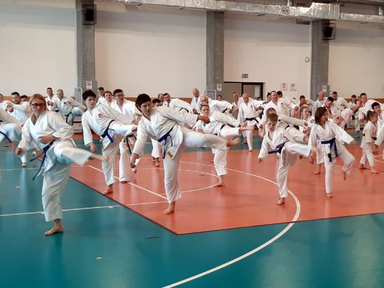 Staż techniczny z  Y. Ohta