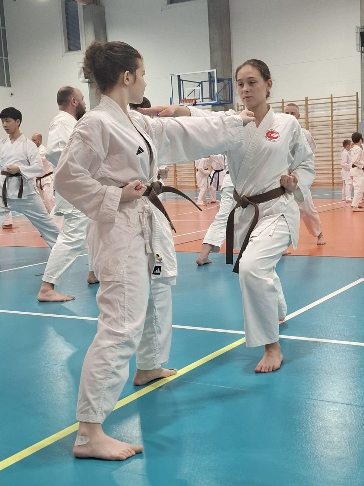 Staż techniczny - Y.Ohta