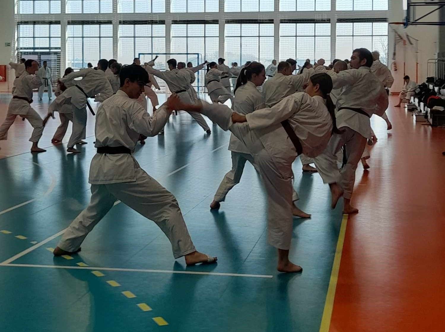 Staż techniczny JKA - Y.Ohta - 7 DAN