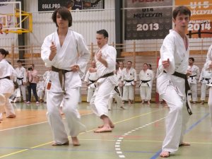 Gasshuku z sensei Kurihara i Igarashi