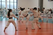 Staż techniczny JKA - Y.Ohta - 7 DAN