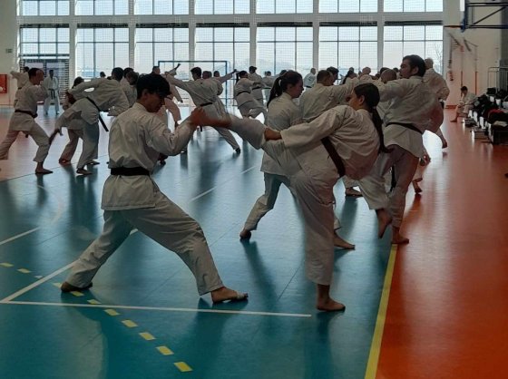 Staż techniczny JKA - Y.Ohta - 7 DAN
