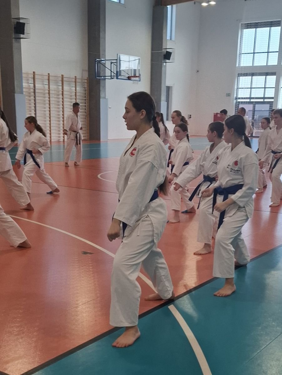 Staż techniczny JKA - Y.Ohta - 7 DAN