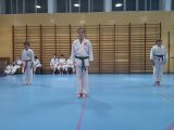Egzaminy na stopnie kyu - Murowana Goślina