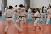 Staż techniczny JKA - Y.Ohta - 7 DAN