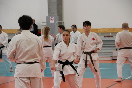 Staż techniczny JKA - Y.Ohta - 7 DAN