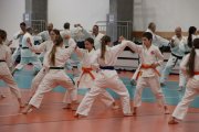 Staż techniczny JKA - Y.Ohta - 7 DAN