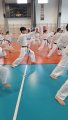 Staż techniczny z sensei Naka i Kurihara