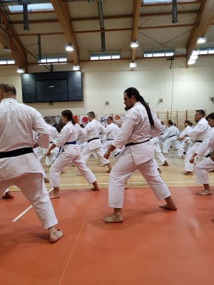 Seminarium z sensei Tatsuya Naka