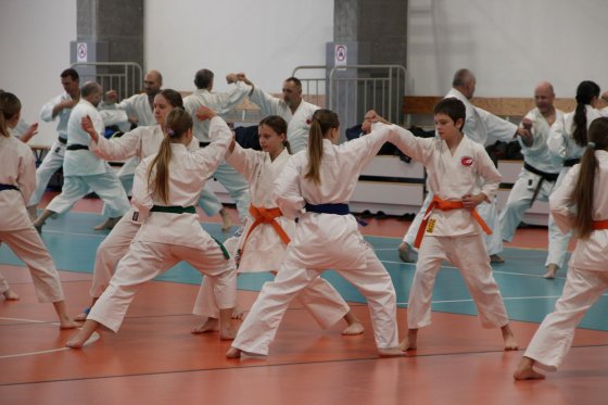 Staż techniczny JKA - Y.Ohta - 7 DAN
