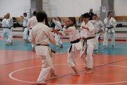 Staż techniczny JKA - Y.Ohta - 7 DAN