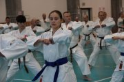 Staż techniczny JKA - Y.Ohta - 7 DAN